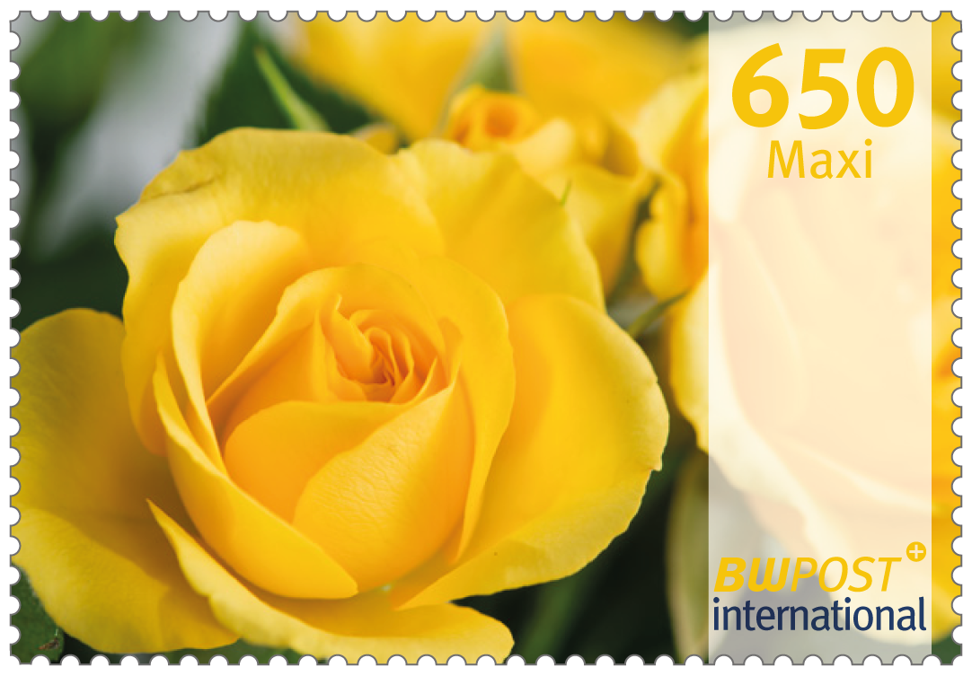 einzelmarke_650_flowers-international-2025_2024-12-17